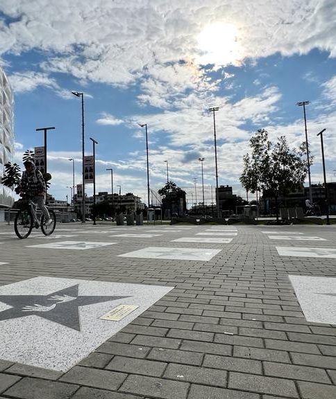 Paseo de las estrellas 41