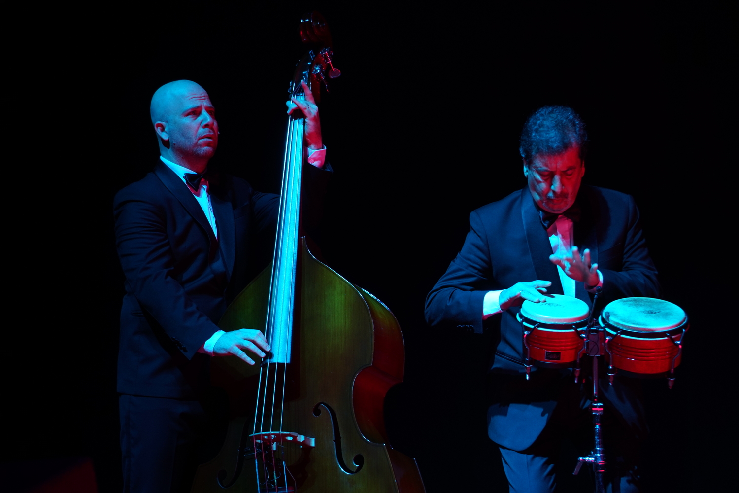 LES LUTHIERS 5