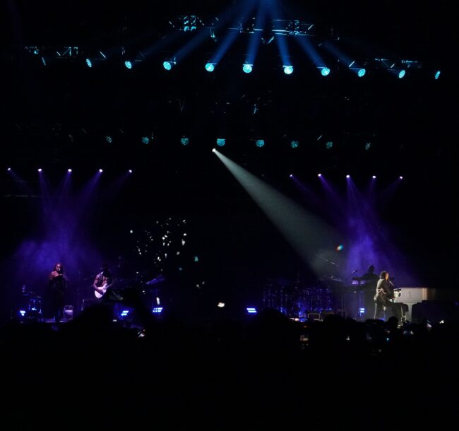 photo gallery 650x610